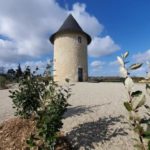 Chateau des moulins vertheuil